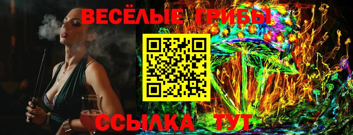 Псилоцибиновые грибы ЛСД  купить наркоту  Вход с VPN  Троицк  Галлюциногенные грибы прущие грибы 